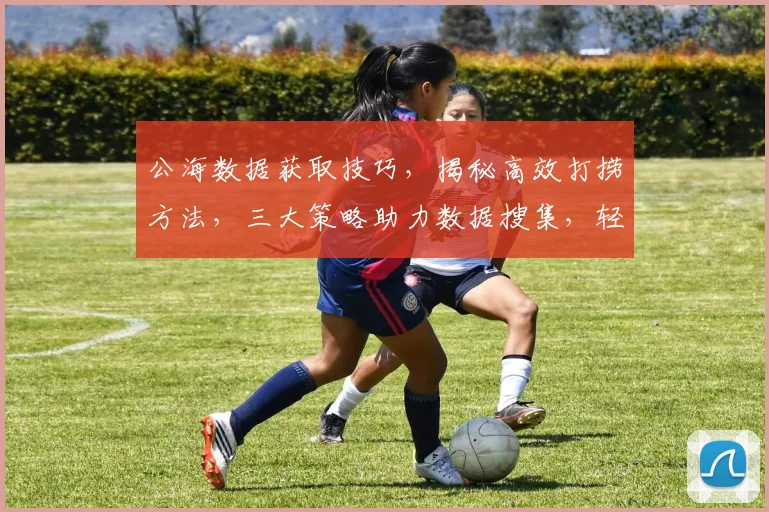 公海数据获取技巧，揭秘高效打捞方法，三大策略助力数据搜集，轻松掌握